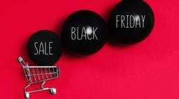 Black Friday Sale 2024