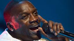 Singer is building a real-life Wakanda in Africa