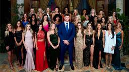 The Bachelor