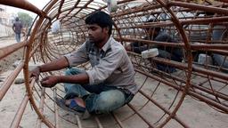 International Labour Day 2023: History, Significance and all you need to  know | Mint