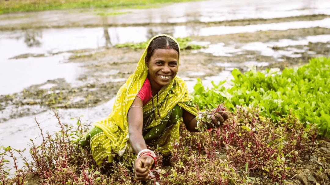 Farmer’s Day 2024