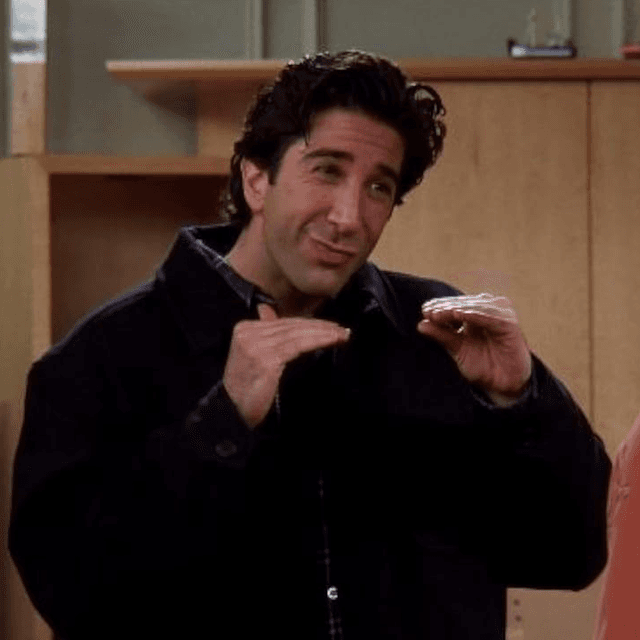 Friends sitcom: Ross Geller