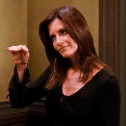 Friends sitcom: Monica Geller