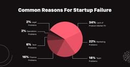 Reasons for Startup Failure