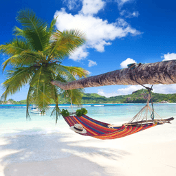 Holiday Destination