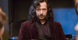 Sirius Black in Harry Potter and the Order of the Phoenix