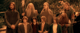 The Fellowship of the Ring 