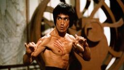Enter the Dragon