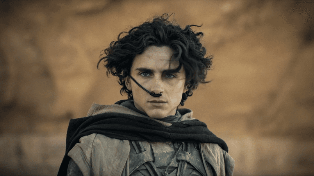 Timothee Chalamet as Paul Atreides